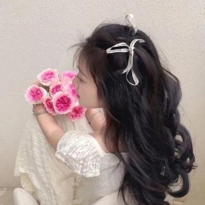 西西里知名的熊族入侵事件